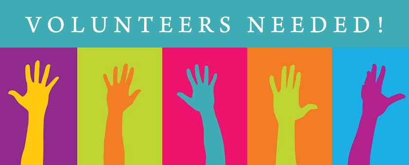 Volunteer PAge